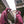 Load image into Gallery viewer, Blood Red Spider Full-Zip Hoodie
