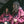 Load image into Gallery viewer, Blood Red Spider Full-Zip Hoodie
