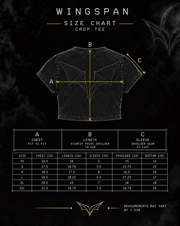 WINGSPAN STONEWASHED CROP TEE