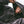 Load image into Gallery viewer, Denim Fray Spider Full-Zip Hoodie
